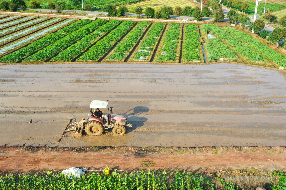 中国农田水利工程：保障粮食安全与农业可持续发展的基石