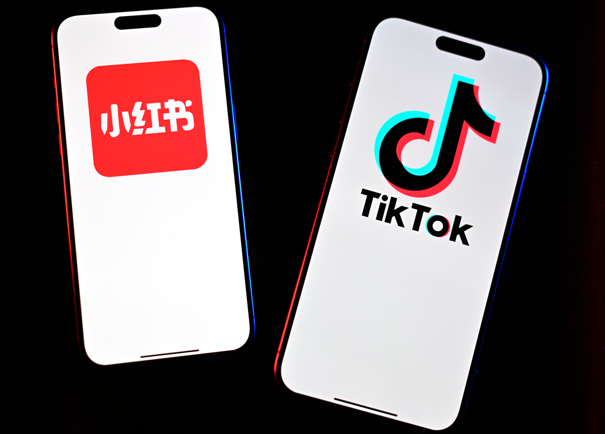tiktok单日刷粉自助真实案例,TikTok单日刷粉自助真实案例解析!