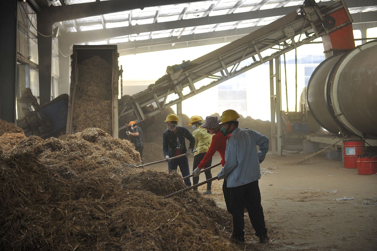 帮我制定一个为期6个月的工厂实习计划安排，内容要包括工厂化的（玉米秸秆的碱预处理探究、预处理后的玉米秸秆生产酶解多糖、玉米秸秆生产乙醇、以及人工智能模型构建预测多糖产量和乙醇产量）