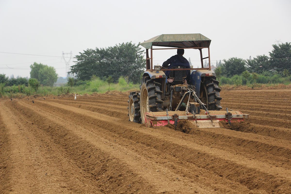 贵州电子工业学校物流服务与管理专业就业前景分析 - 值得报考吗？