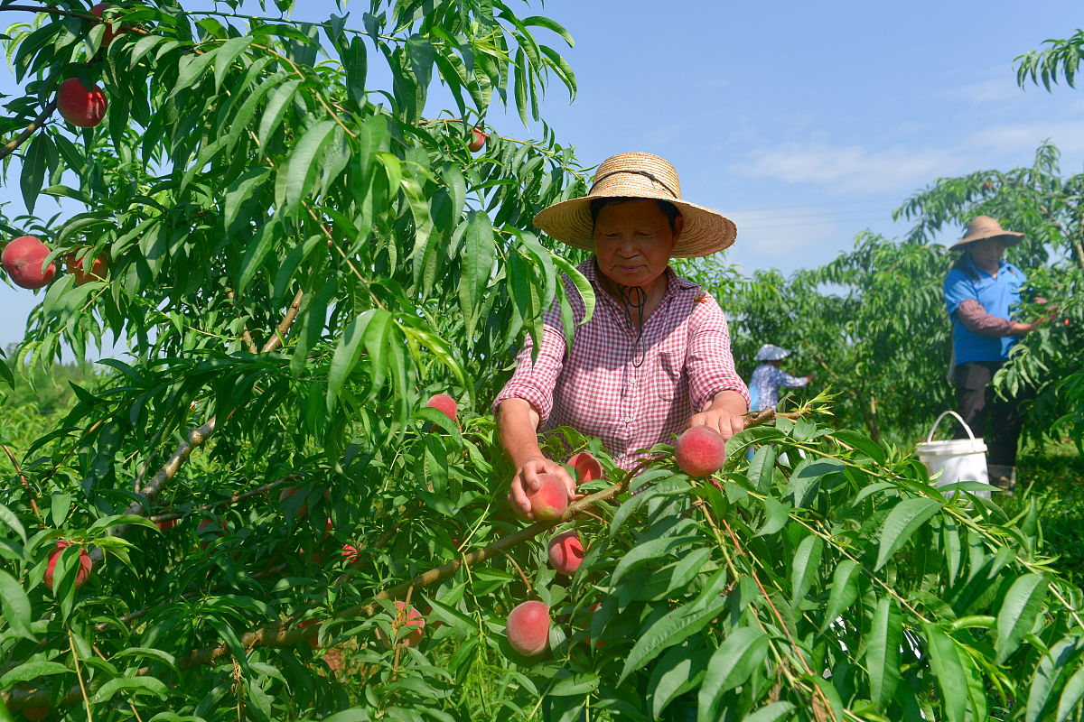 南充2022年最好的卫校：排名、优势和未来发展