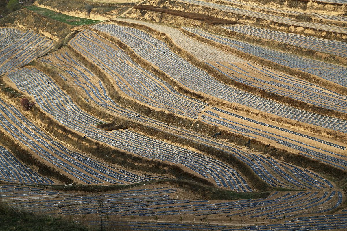 请润色、拓展以下这段文字要求语言精练严谨并具有学术性本研究的主要发现和创新之处在于我们深入探究了气候因素对冬小麦-夏玉米种植体系的影响发现其主导作用因作物生育期时间跨度和气候波动而异。同时我们关注了前茬的水分胁迫是否对后茬玉米产生影响并提出了相应的解决方案。这些发现为未来种植体系的调整和水资源管理提供了理论基础。综合已有的研究成果和农户种植方式我们提出了华北平原应对气候变化、地下水位下降的建议。项