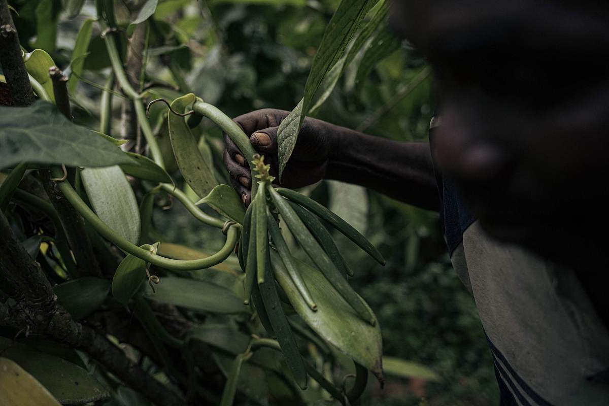 南充电子工业学校2020单招招生简章【重点推荐】