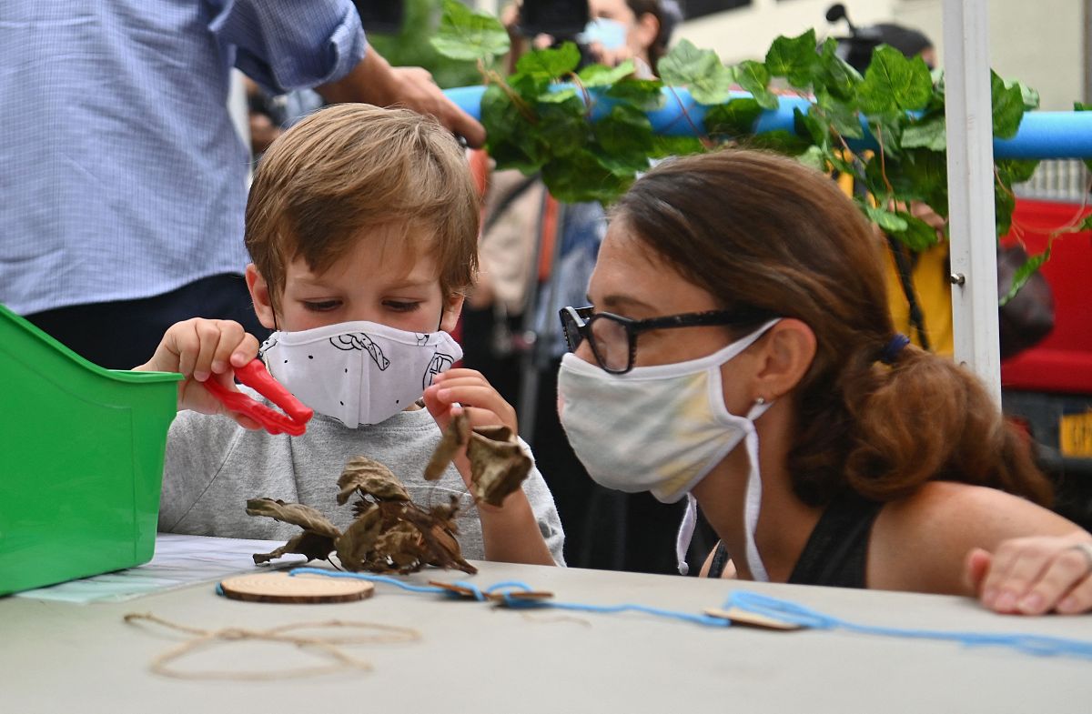 教案：什么是教案？教案的作用和编写方法