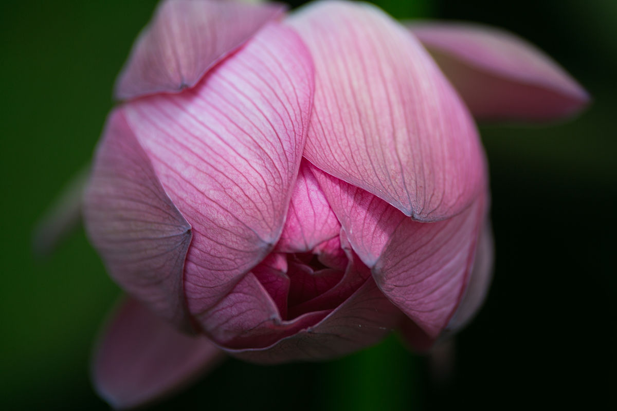 毕节读中专学校多少钱