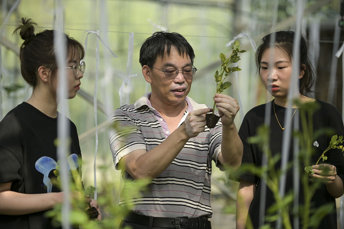 贵州2023年开设轨道交通专业的大专院校 - 培养高素质人才