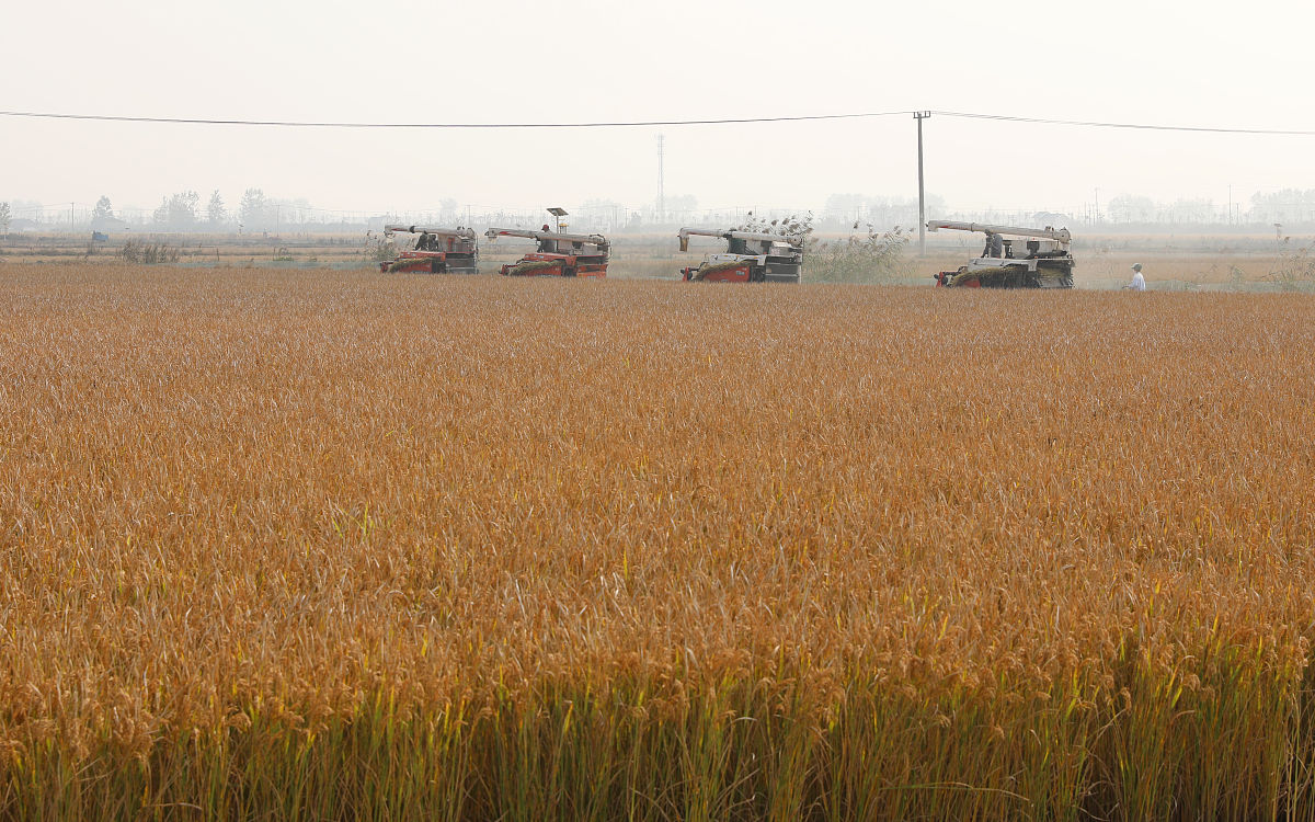 佛山顺德区陈村职业技术学校2023年招生专业有哪些