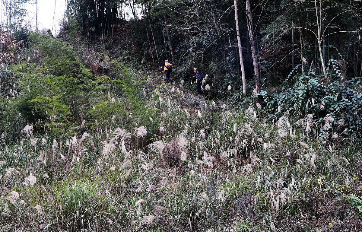 成都铁路学校能否保证就业？