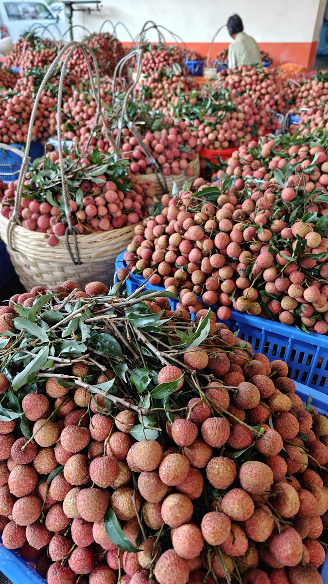 永兴荔枝三产融合农业+文旅