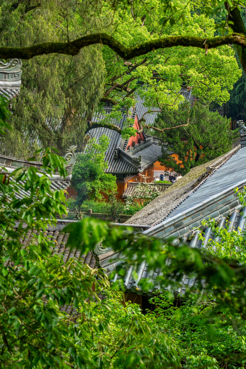 畅游天台:国清寺与周边美景一网打尽