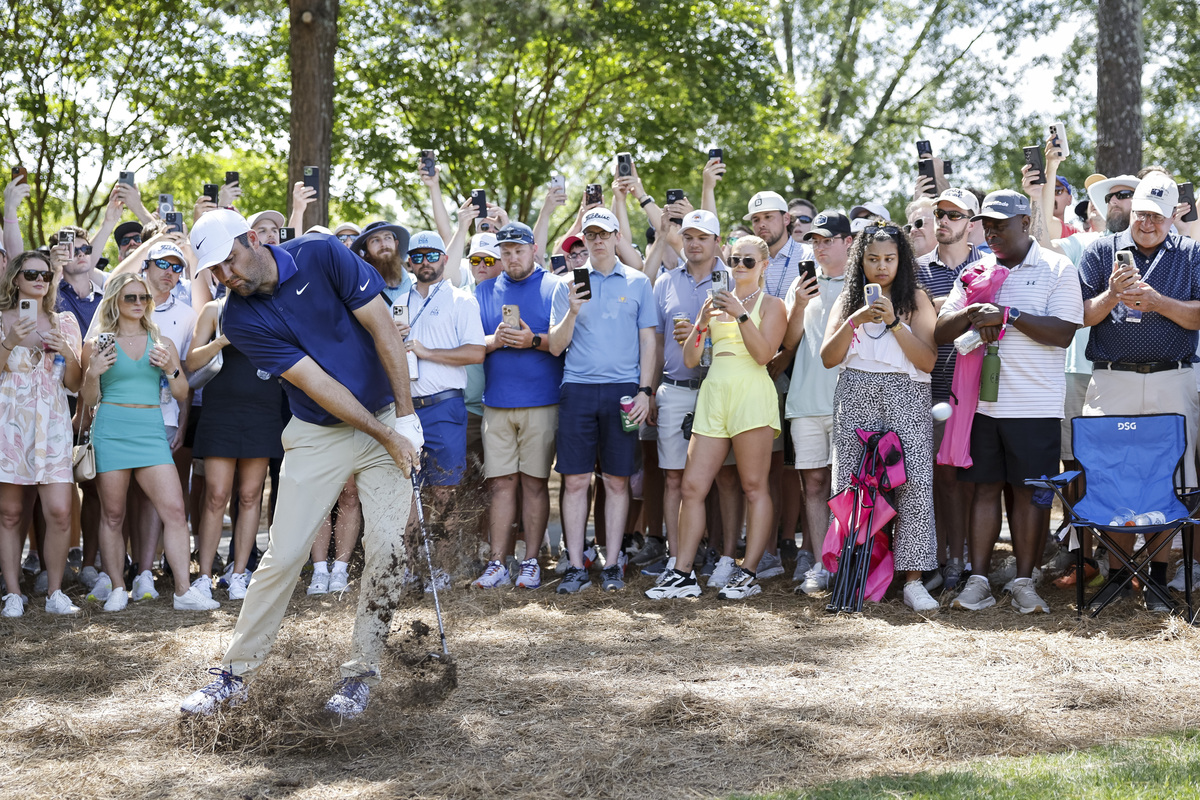 佛罗里达鳄鱼队
