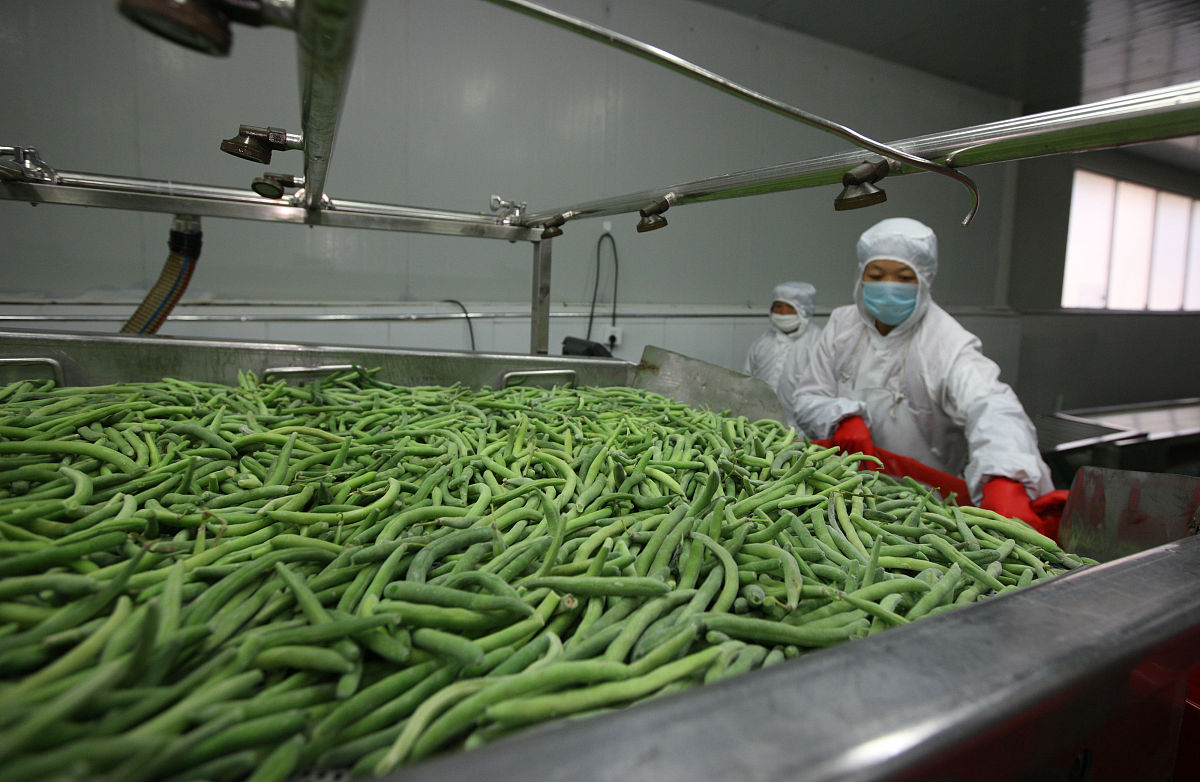 农产品保鲜与加工专业详解及就业方向