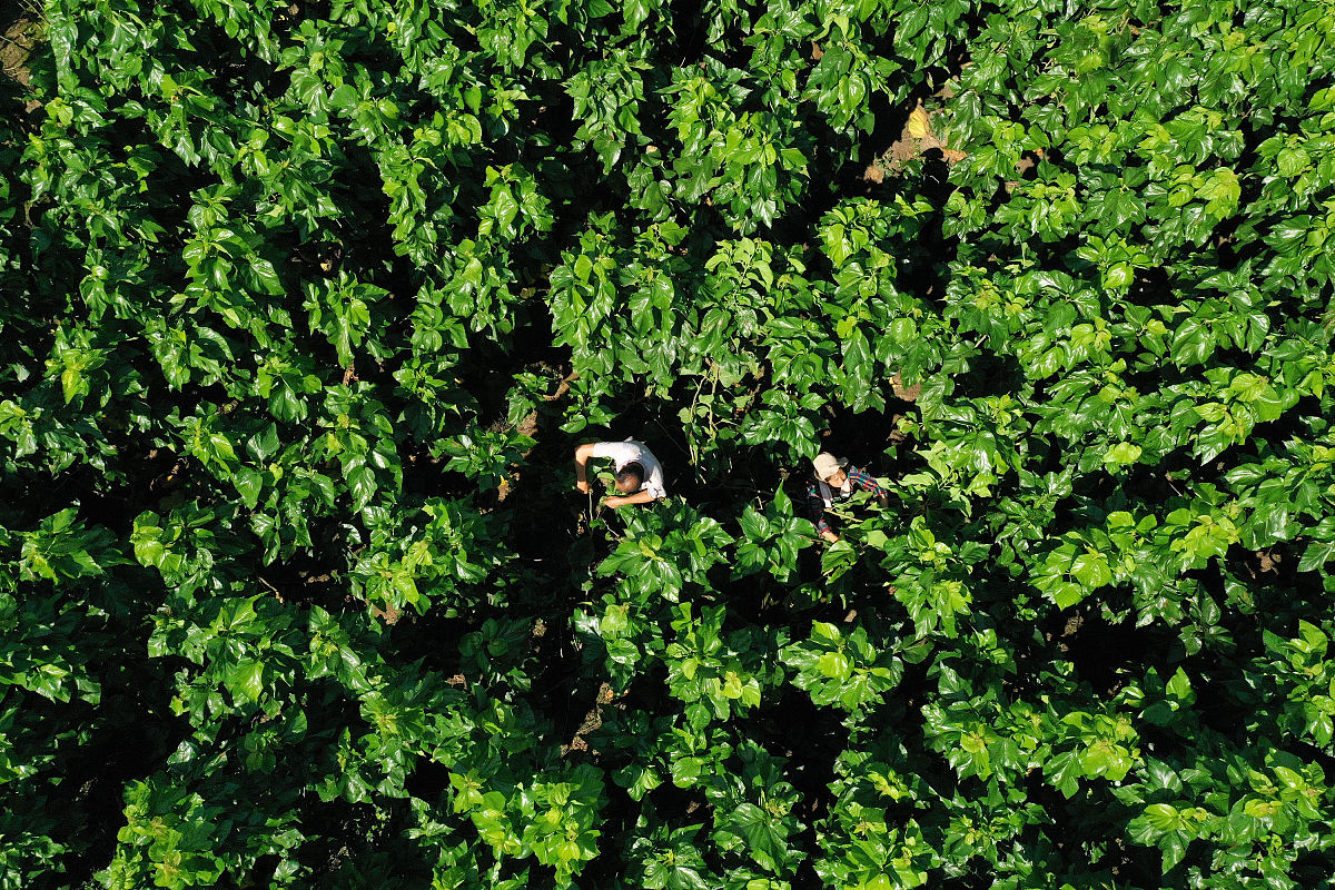 兰州桑园峡区域地质发展史 - 4亿年地质演变历程