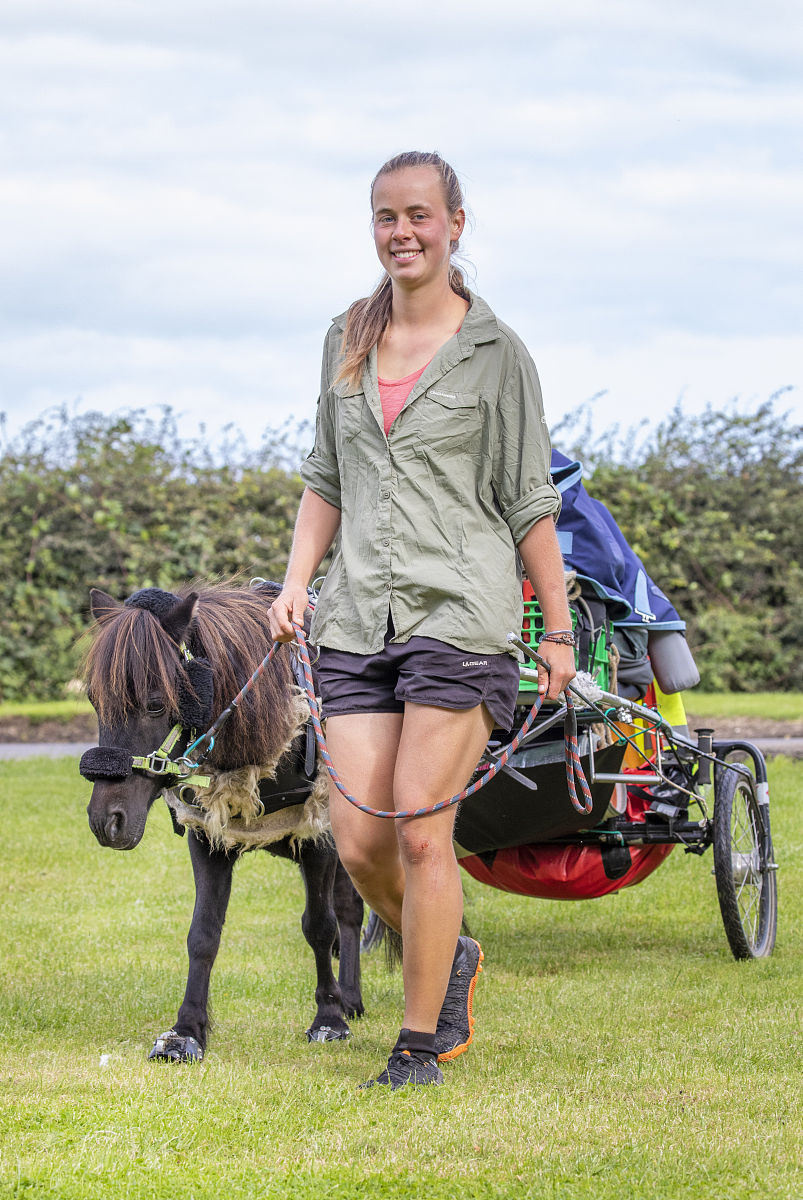 如何撰写优秀论文提纲：从框架到内容的完整指南