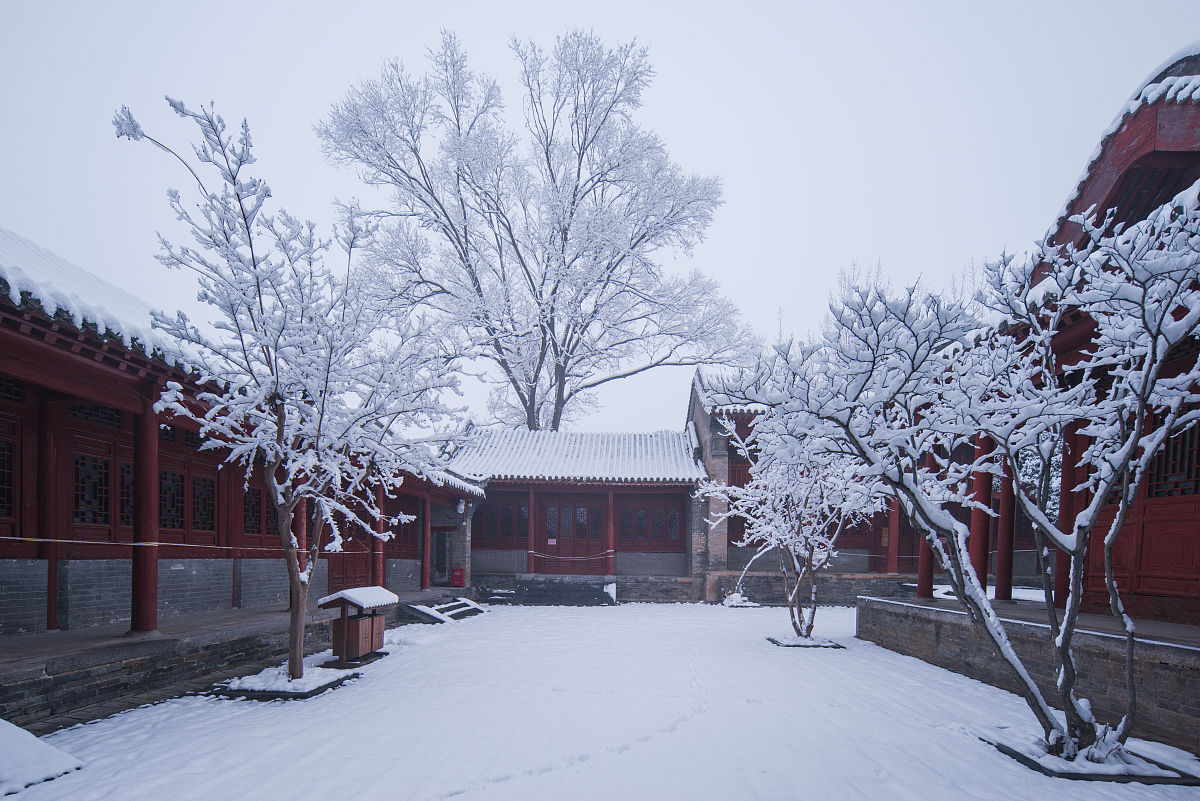 2022河南中专学校推荐用发