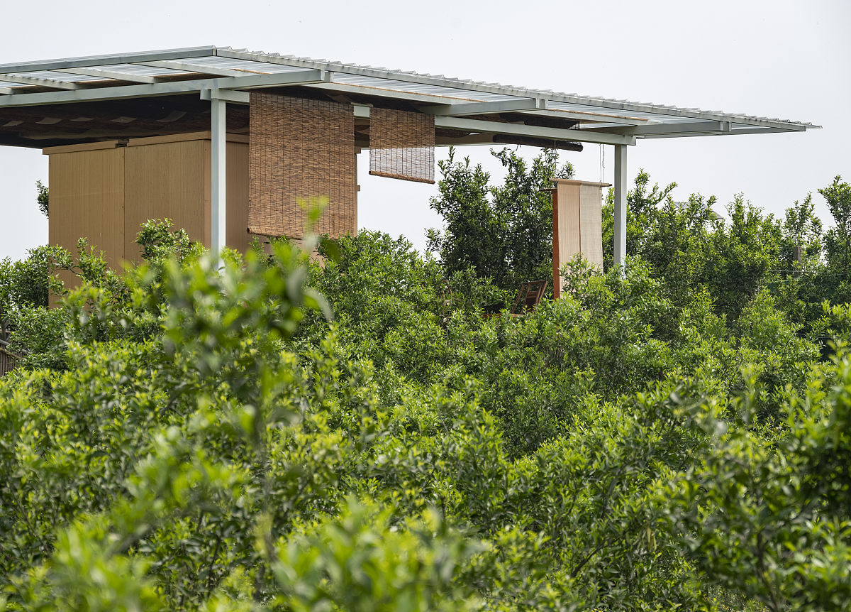 根据东丰县的乡村振兴事业和历史沿袭写一首七言律诗