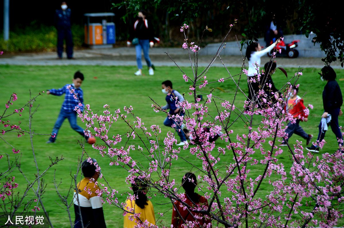 春天的美好：赏花、踏青，迎接充满希望的新一年