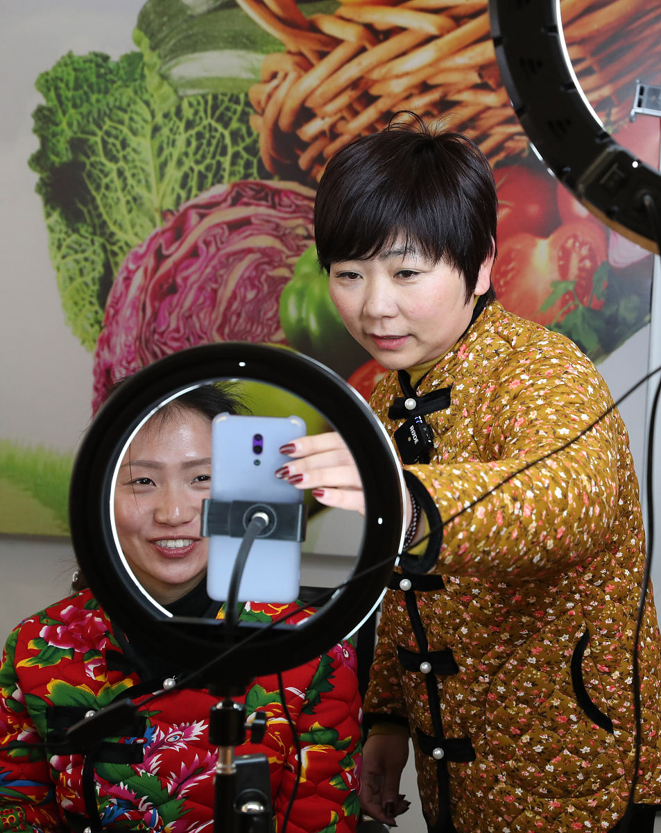 半社会主义合作社经济：模式、案例与优势