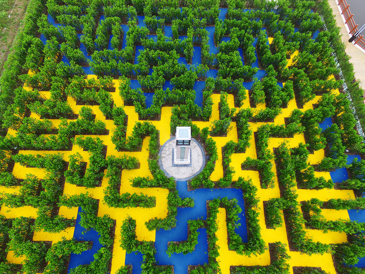 植物大战僵尸2踏青挑战在哪回答+拓展