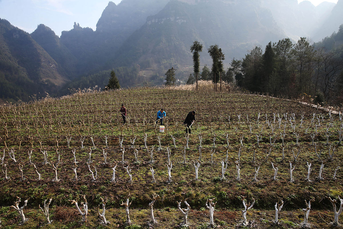 重庆中考300分能读的技校哪家好