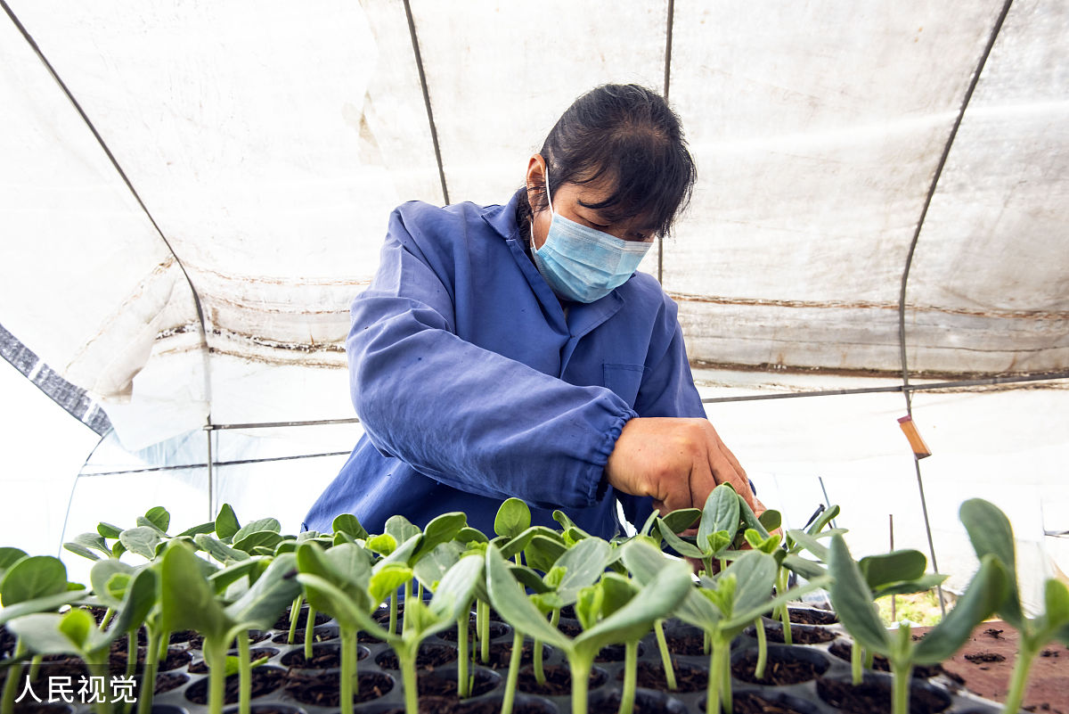 云南省曲靖市农业学校2019年五年制专业计划