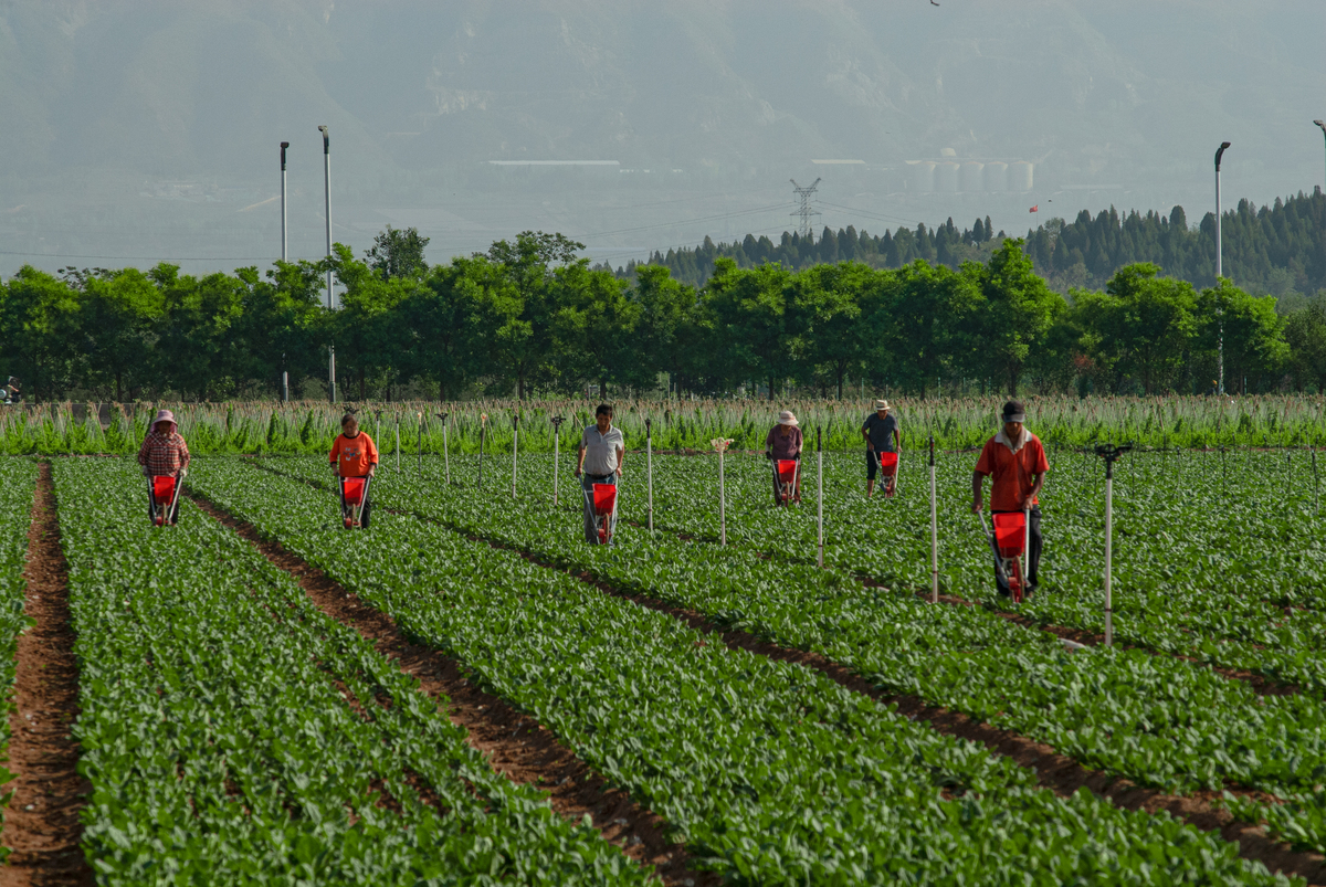 河南农业职业学院园艺技术专业好就业吗