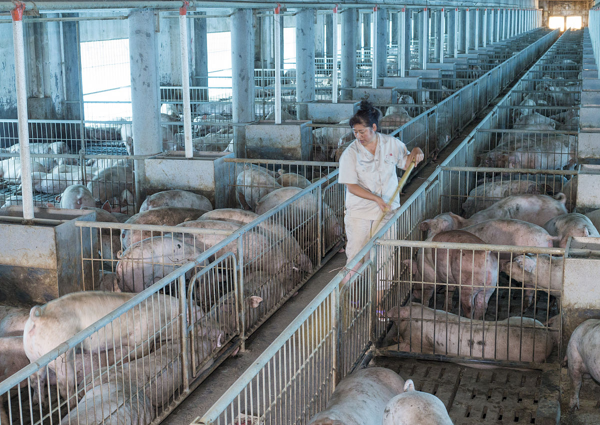 写一篇猪场人员流失情况说明流失主要原因是夏季值班导致人员在每2天工作时间就要增加3小时二是整体栏位损坏限制了满负荷生产增加人员会导致员工考核降低减少人员又会导致工作无法开展三是进入夏季员工上市、转产、断奶需要凌晨4点开始工作