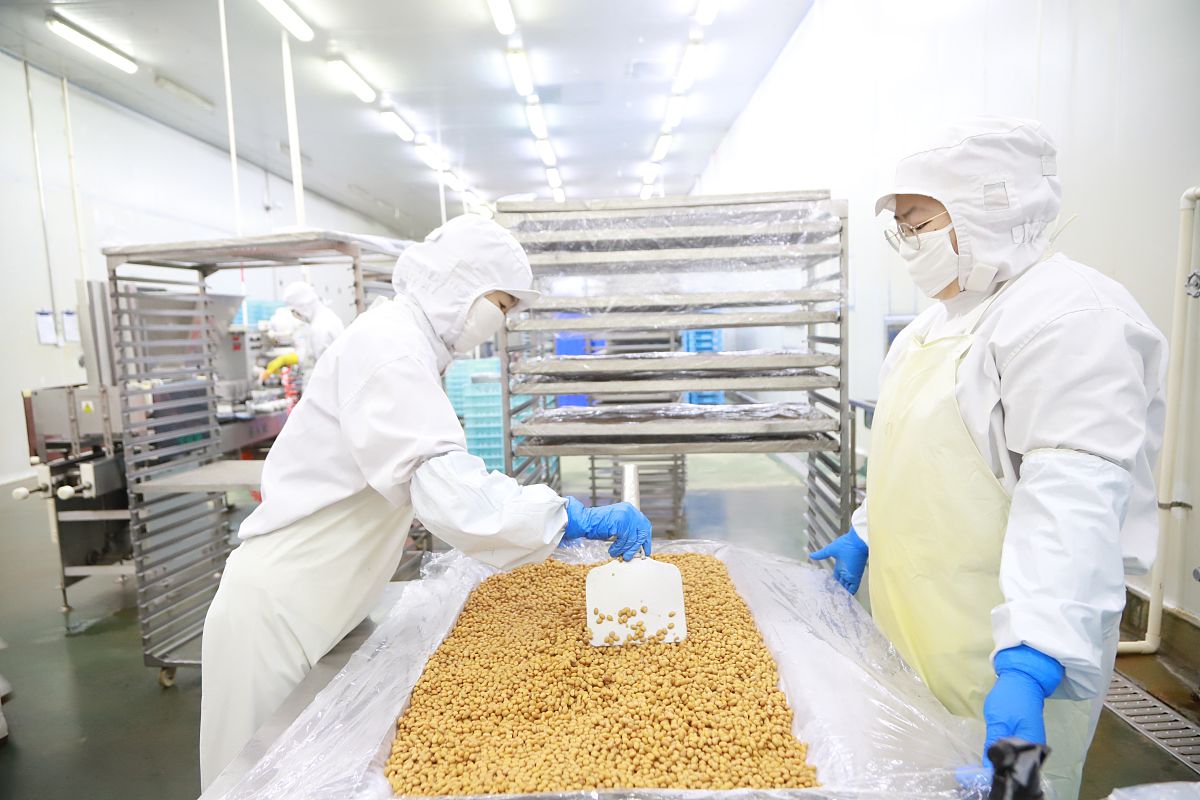 食品级蛋白酶在豆腐生产中的应用案例：食品酶工程在豆类加工中的现状与挑战