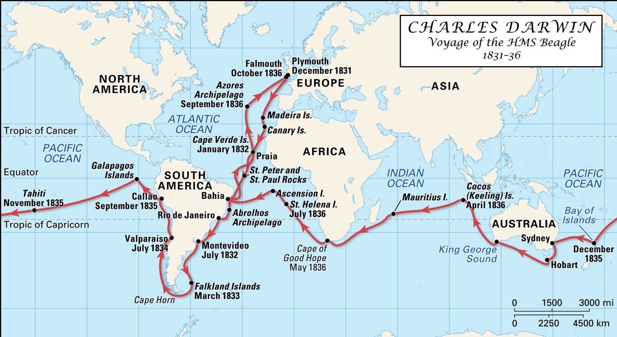Melanoma Mortality Disparities in Transitioning Countries: Why Diagnosis Matters