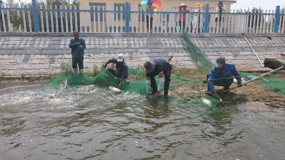吉林省经济管理干部学院专业设置：经济学、管理学、法学、工程学、文学等