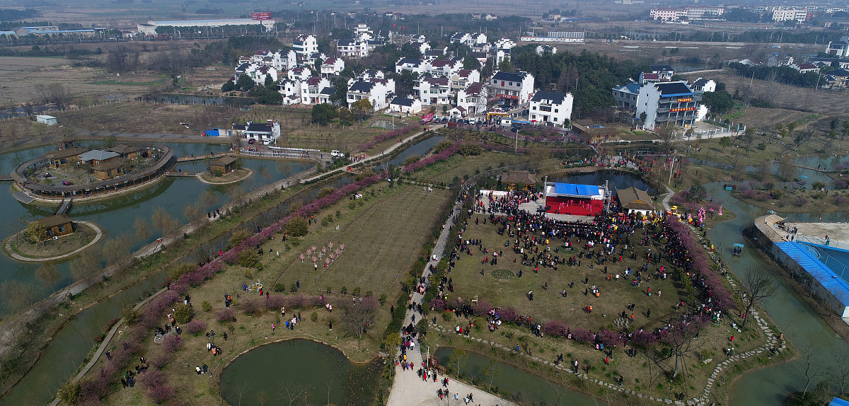 青岛钢铁集团信息系统规划过程：从需求分析到委托开发