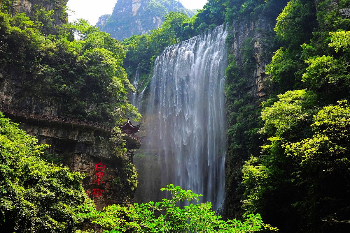三峡旅游职业技术学院五年制大专招生简章：3+2模式培养旅游行业人才