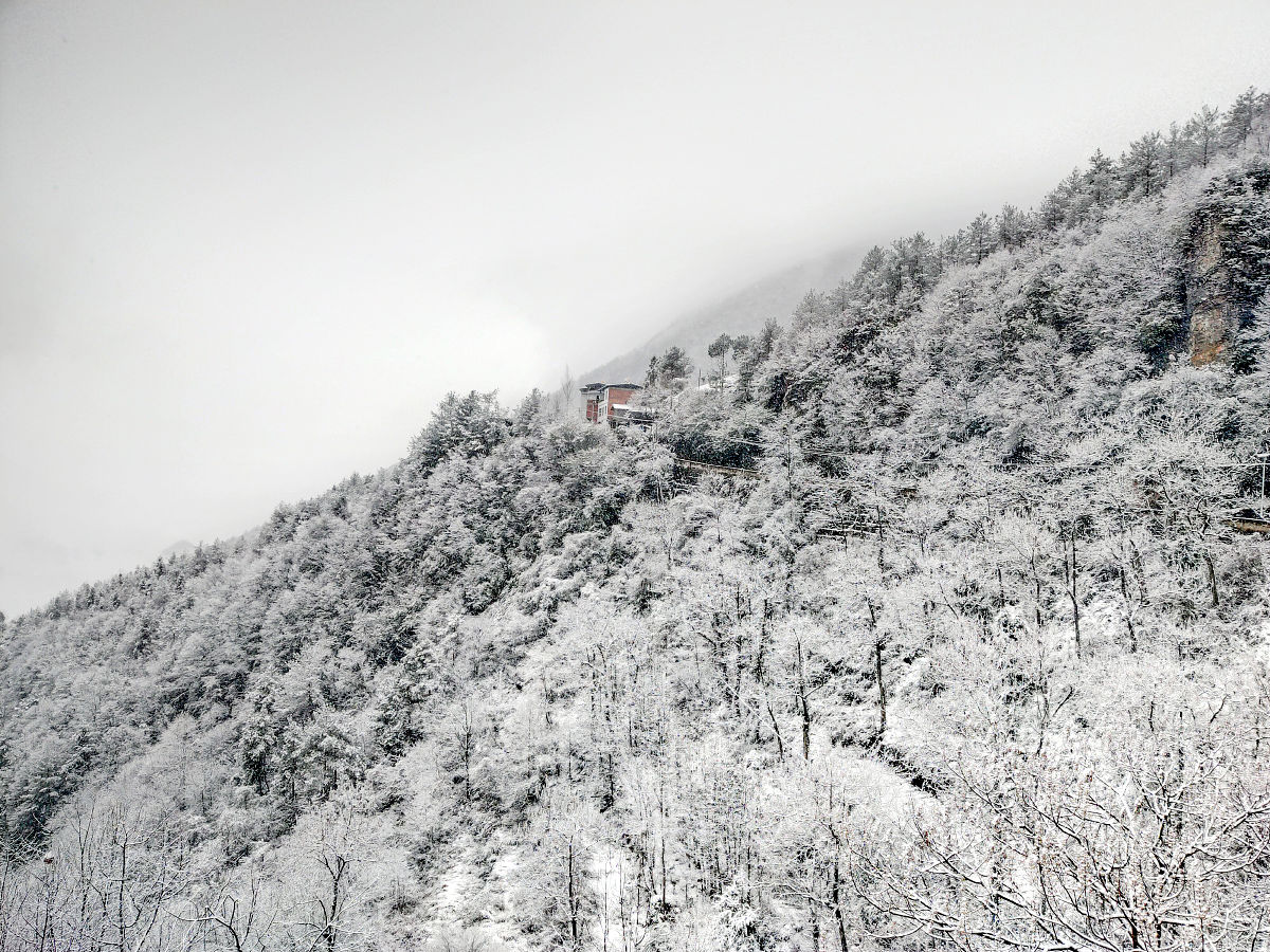 2021年重庆农业学校招生简章-报名时间、条件、流程-重庆农业学校