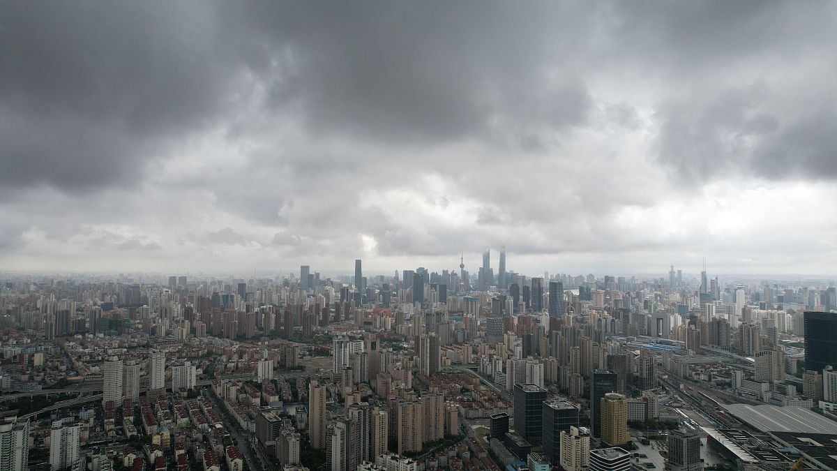 南极辐聚带与南极绕极流：相互促进的环流系统