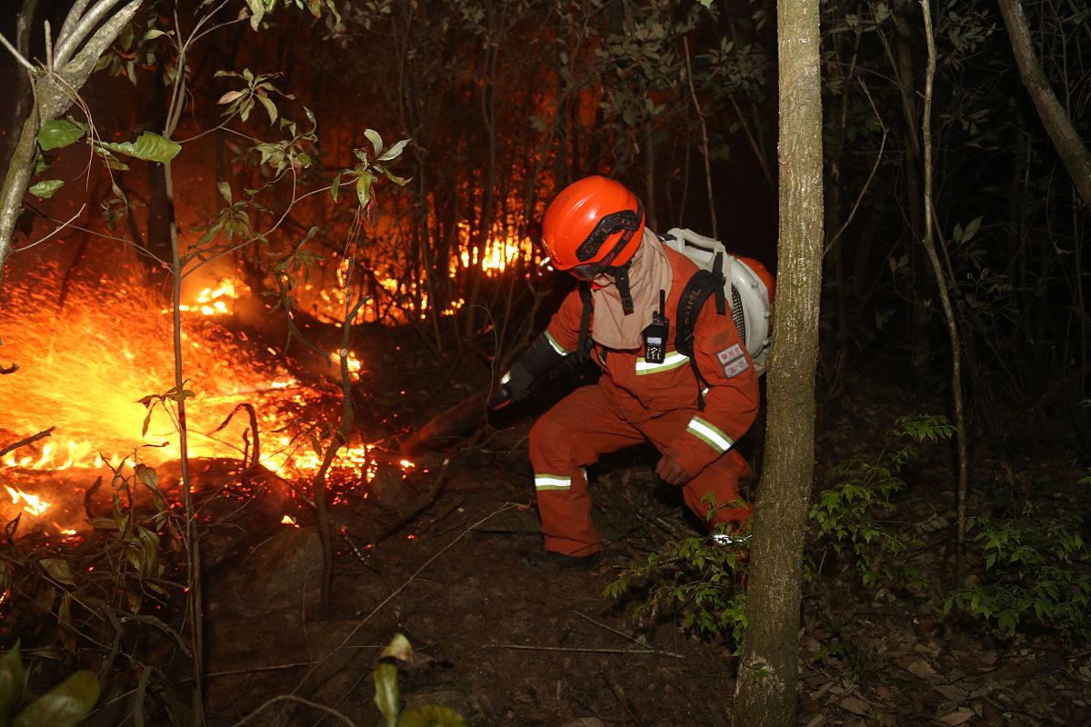 预防和扑救森林火灾，