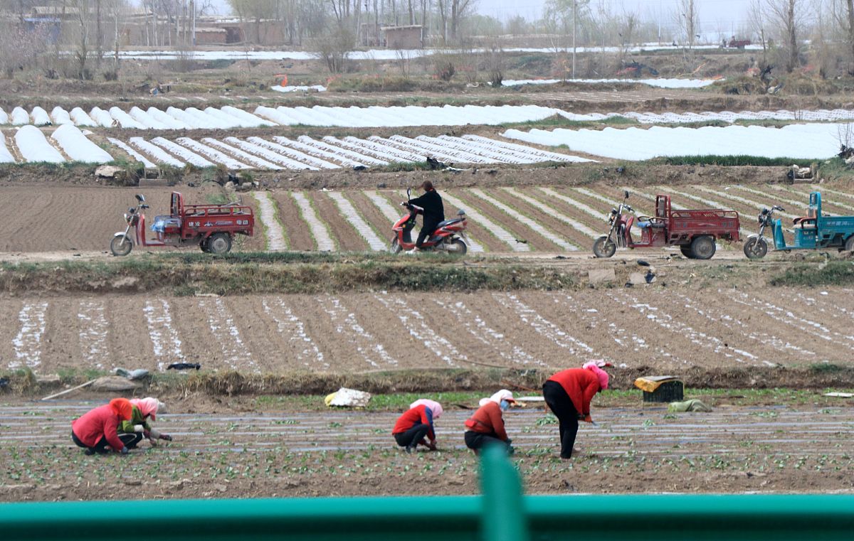 论述在延长县郊区农村开展农业机械化推广现状调查和访谈过程写出调查目的、调查时间、调查过程、调查结果不少于300字。