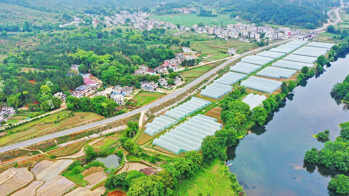 暑期村委会实践报告和心得2000字