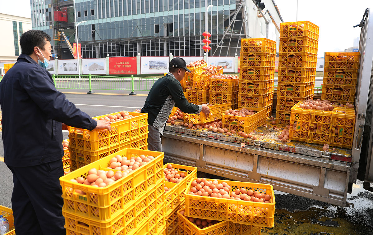 山东公路技师学院就业情况怎么样？毕业生就业前景分析