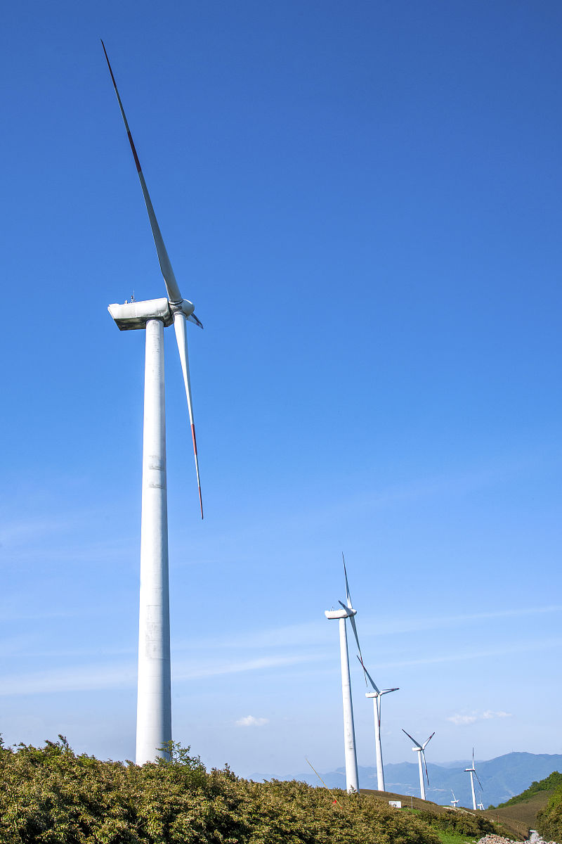 重庆涪陵实验中学招生电话 - 优质教育，成就未来