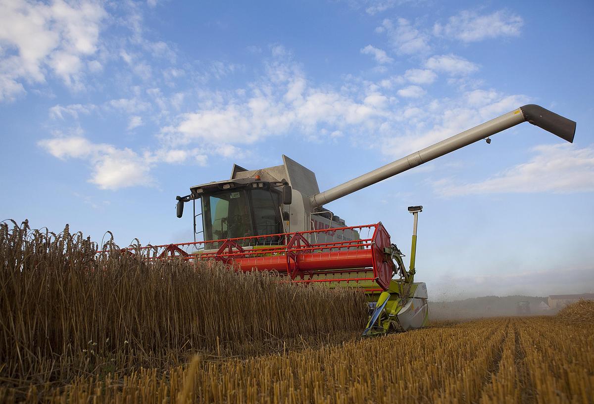 请将以下内容中文翻译为英文并使其符合一篇SCI论文的标准：最不重要的因素是 VTCI1因为冬小麦在此期间缓慢恢复生长对水分胁迫不敏感。