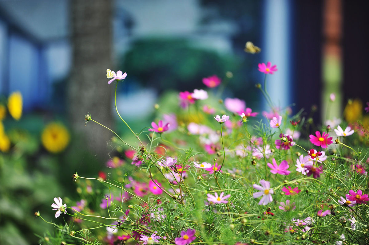 丽水职业技术学院园艺技术专业怎么样？优势、前景及就业分析