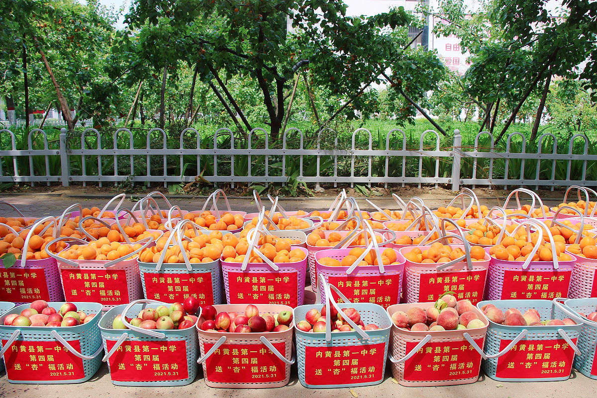 近日黔东南州榕江县城北新区体育馆迎来了一场独特的活动。金果兴农团队带着他们精心制作的枇杷汁来到村超为当地居民带来了一场美味与健康的盛宴。金果兴农团队是一支致力于推广农产品的团队他们以榕江县出产的优质枇杷为原料制作出了一款独特的枇杷汁。这款枇杷汁不仅口感鲜美而且富含丰富的维生素和矿物质对于身体健康有着很大的益处。为了让更多的人了解到这款美味的枇杷汁金果兴农团队决定亲自到村超现场销售。他们选择在榕江县