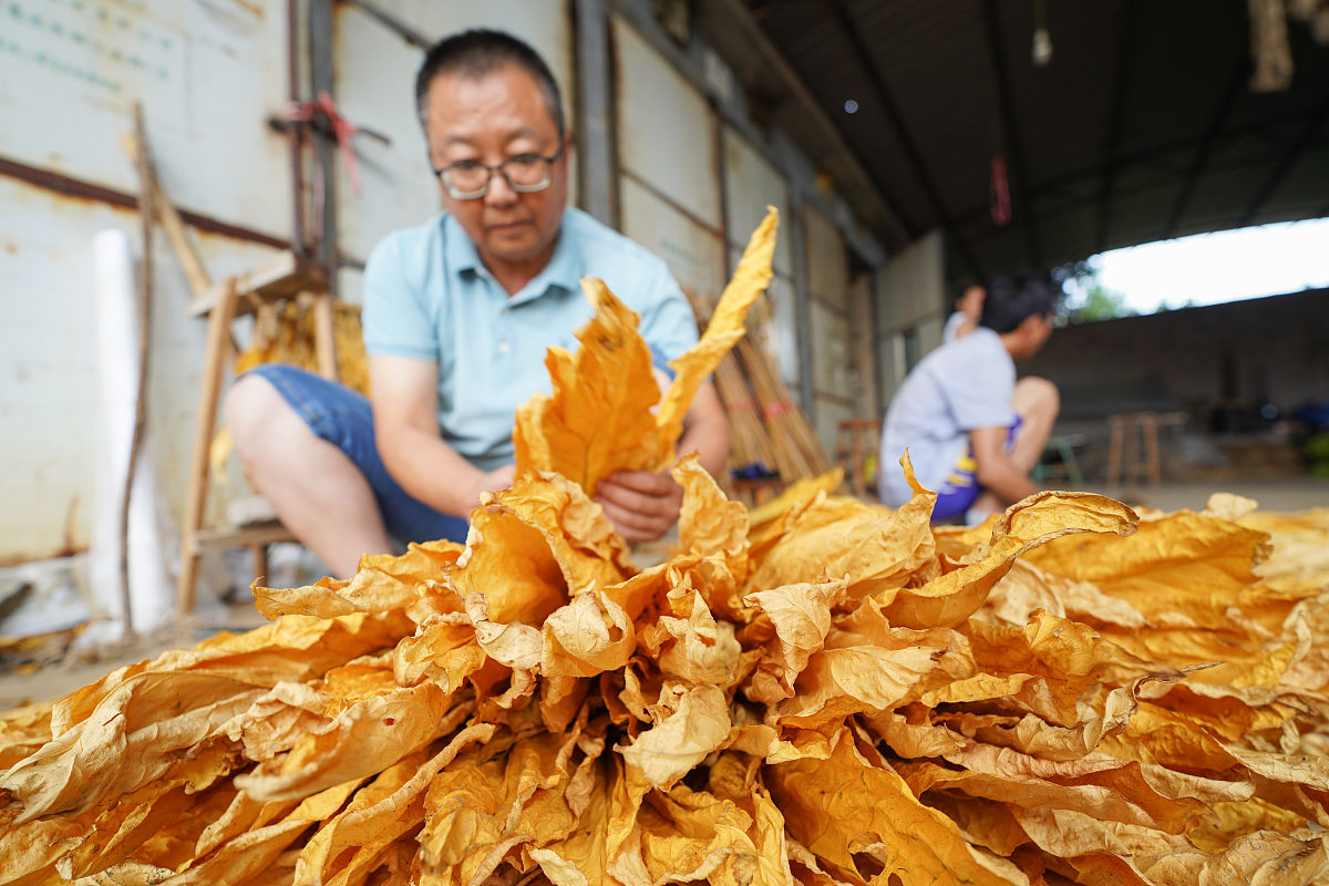 兴仁县民族职业技术学校2021年招生专业：机电、计算机、建筑、商贸等