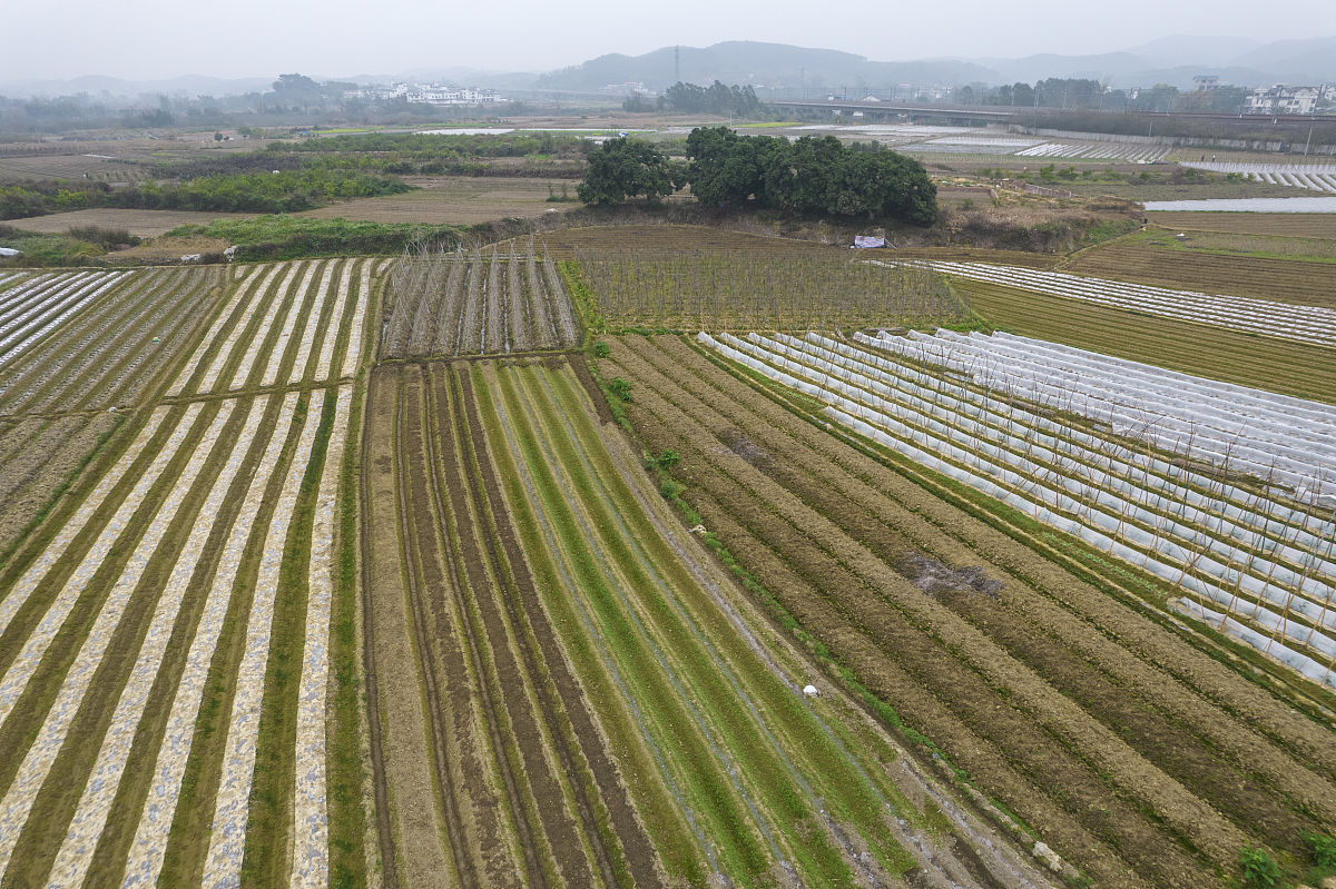 湖北3+2现代农艺技术学校排名及专业解读
