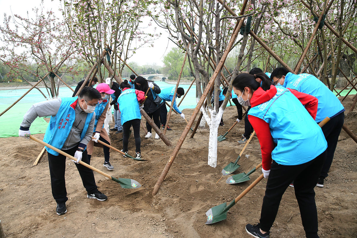 劳动教育总结 800字结合活动做法写