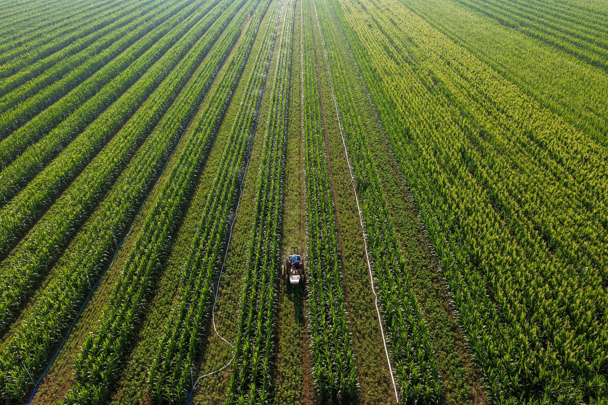 新冠疫情冲击对河南农业经济的影响研究：意义与分析