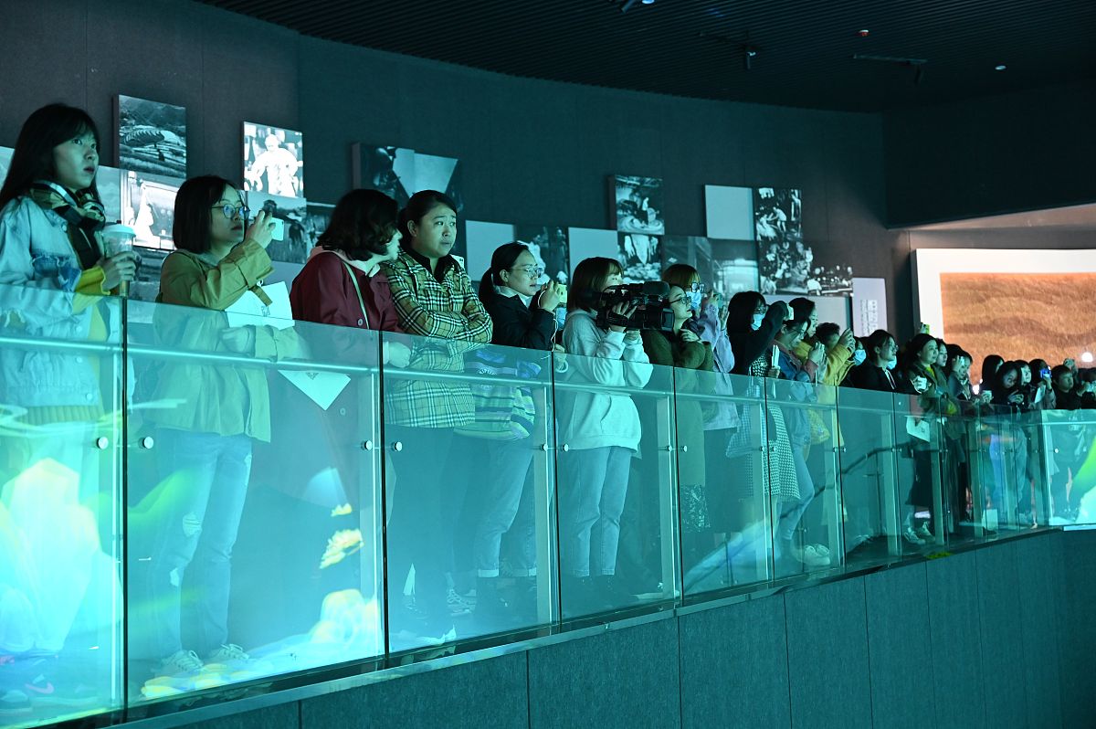 北京城市学院社会工作专业怎么样