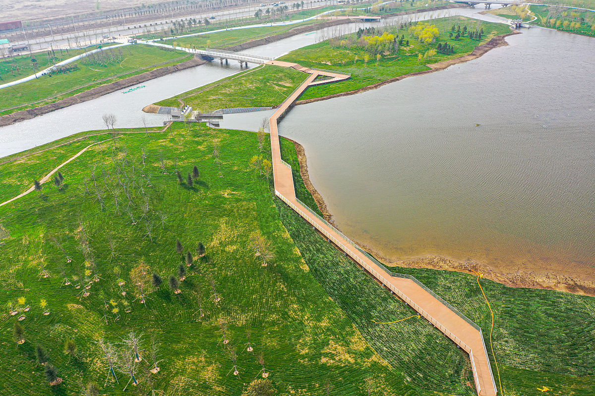 锦水河入黄口湿地方案实践记录报告 - 改善湿地生态环境，保护鸟类栖息地
