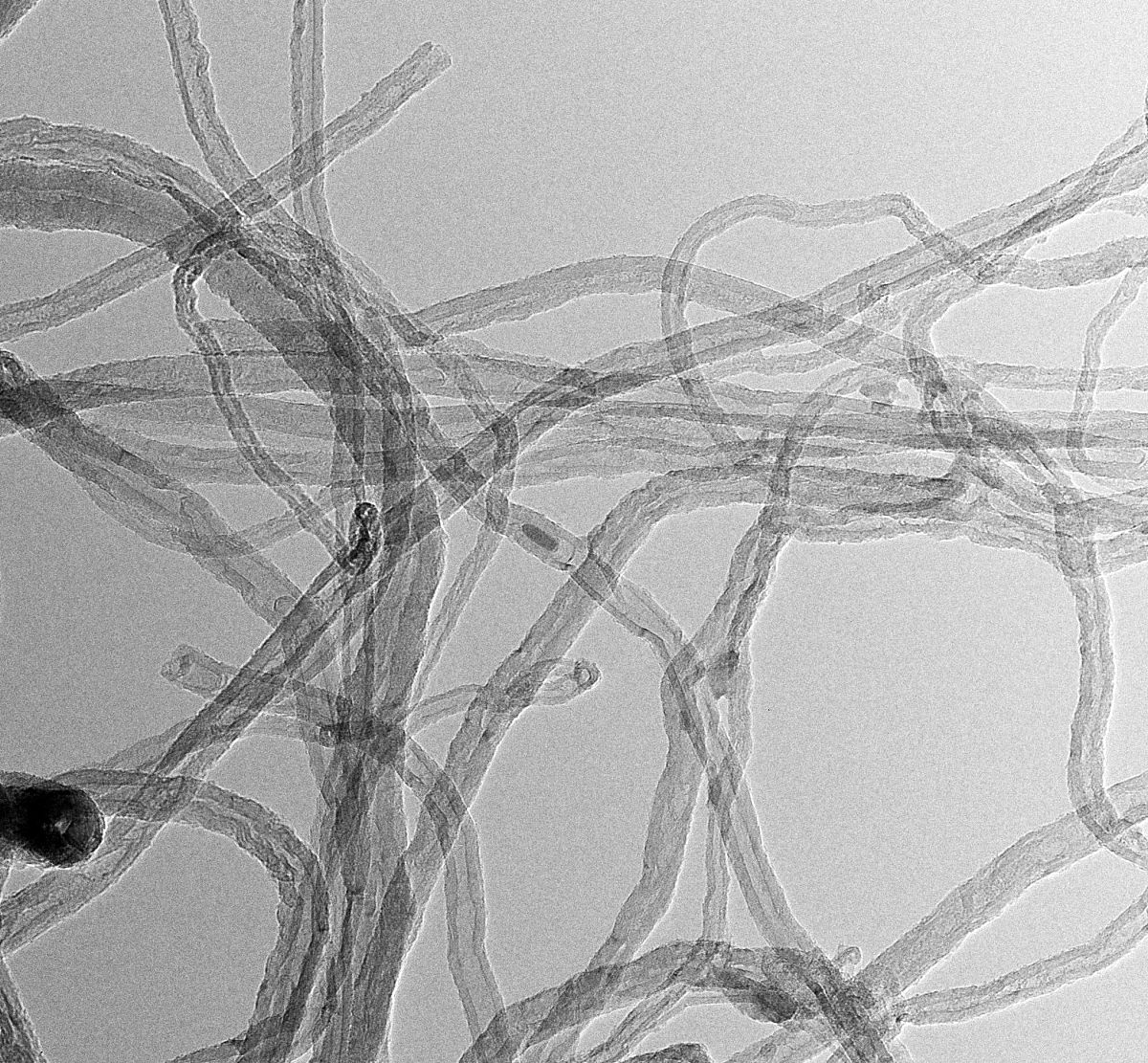 探索纤维切片技术的应用