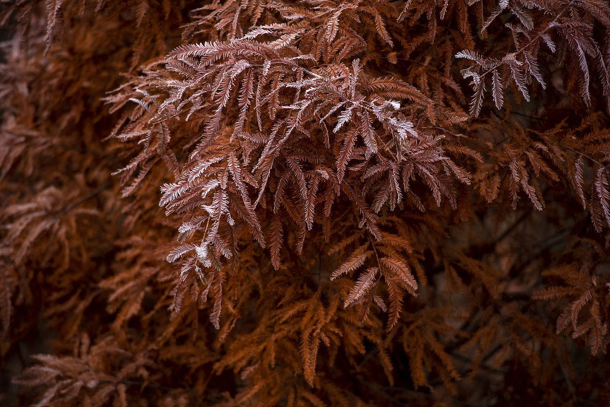 江苏省盱眙中等专业学校2022年招生简章-联系方式-专业介绍